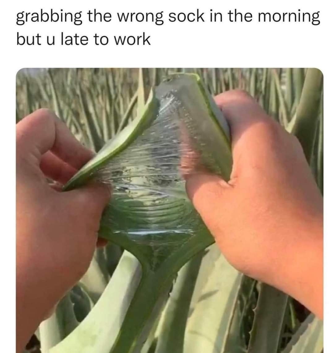 Wrong sock - meme