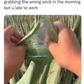 Wrong sock