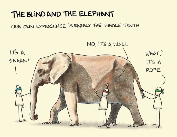 The blind and the elephant - meme