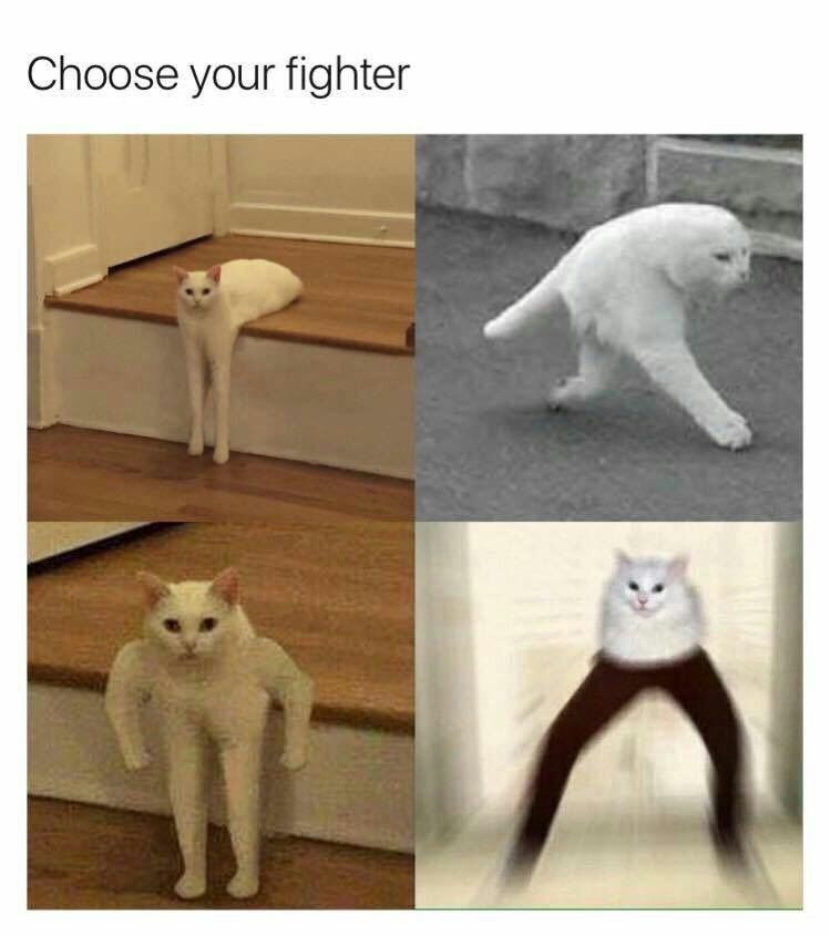 I pick the one with the pants - meme