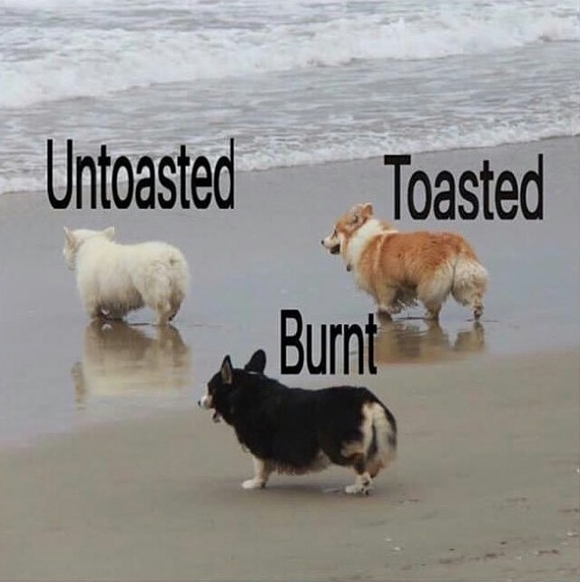 Untoasted, toasted and burnt - meme