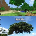 Minecraft is (real) Life
