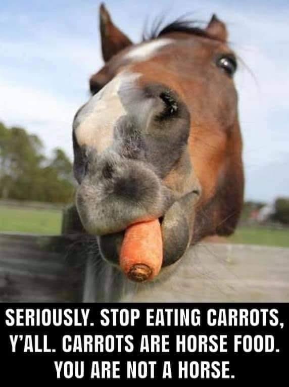 Stop eating carrots - meme