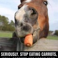 Stop eating carrots