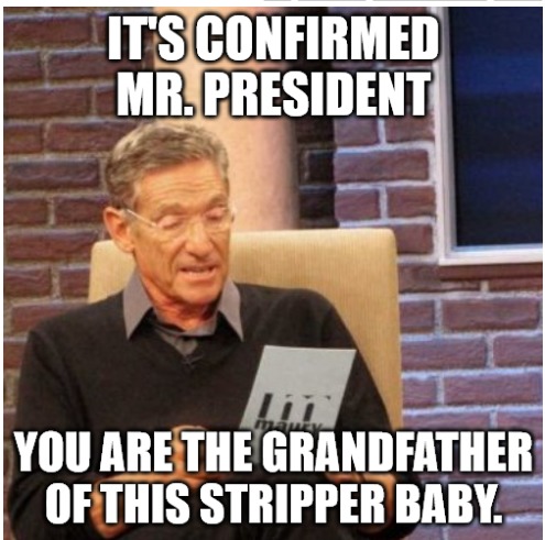 Biden admits he has a 7th grandchild (after a lot of pressure) - meme