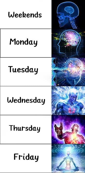 Today is Tuesday - meme