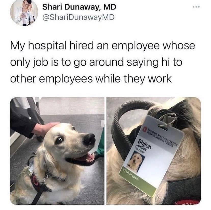 When your job is to greet everyone but you’re still doing nothing - meme
