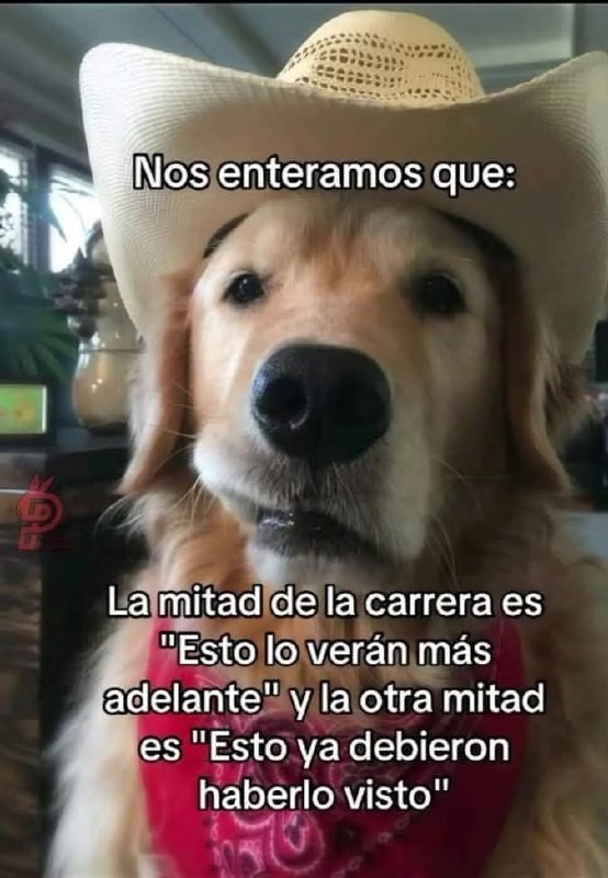 La carrera se resume en: ya lo vieron / lo verán después - meme