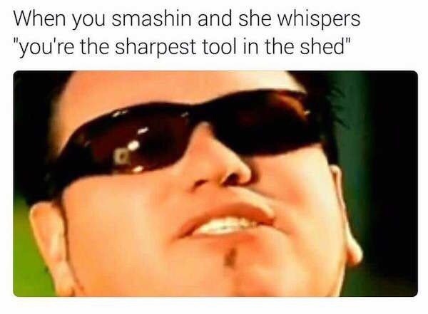 When she calls you the sharpest tool in the shed mid-smash - meme