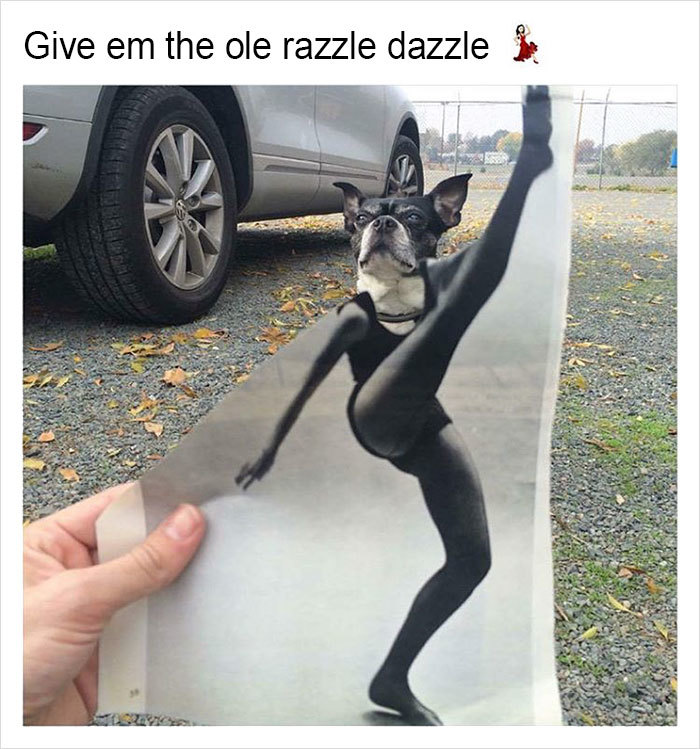 give em the ole razzle dazzle - meme