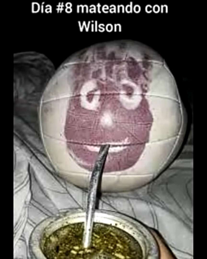 Wilson - meme