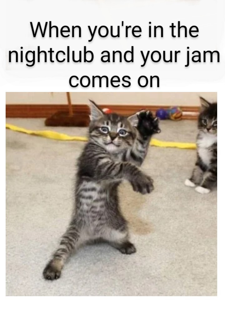 Pump up the jam - meme