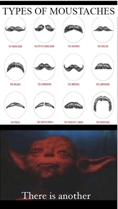 Types of moustaches - meme