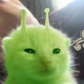 commented item thumbnail
