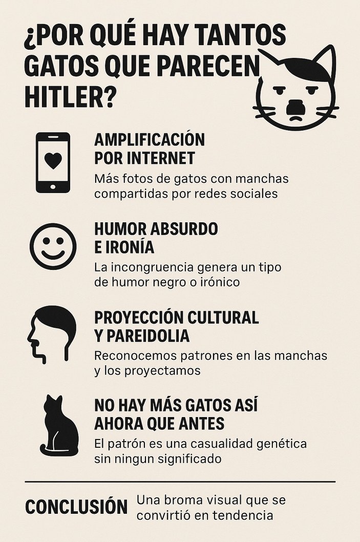 Gatos hitler - meme