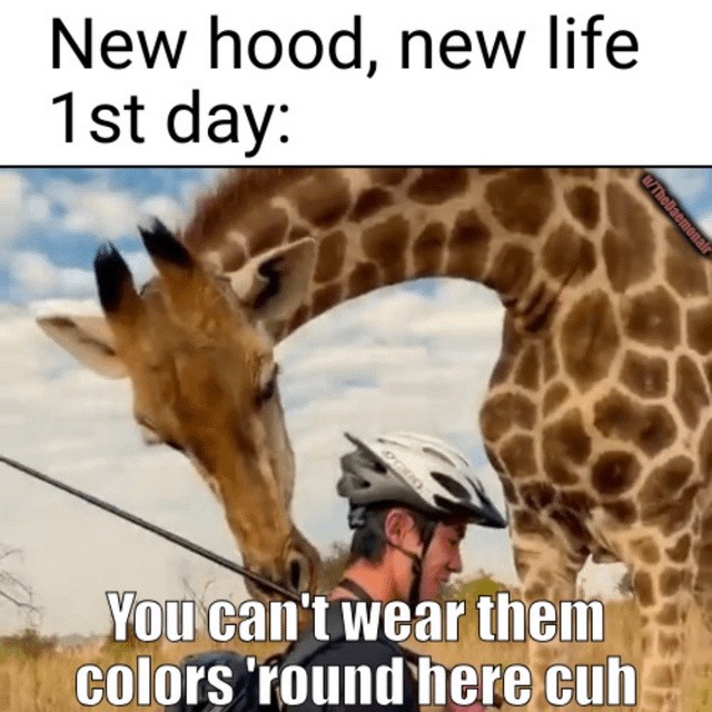 New neighborhood, old rules about color and code - meme