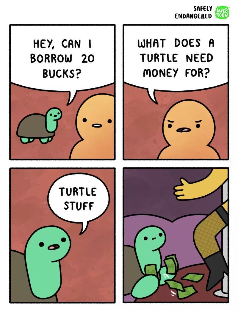 Turtle Stuff - meme