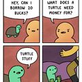 Turtle Stuff