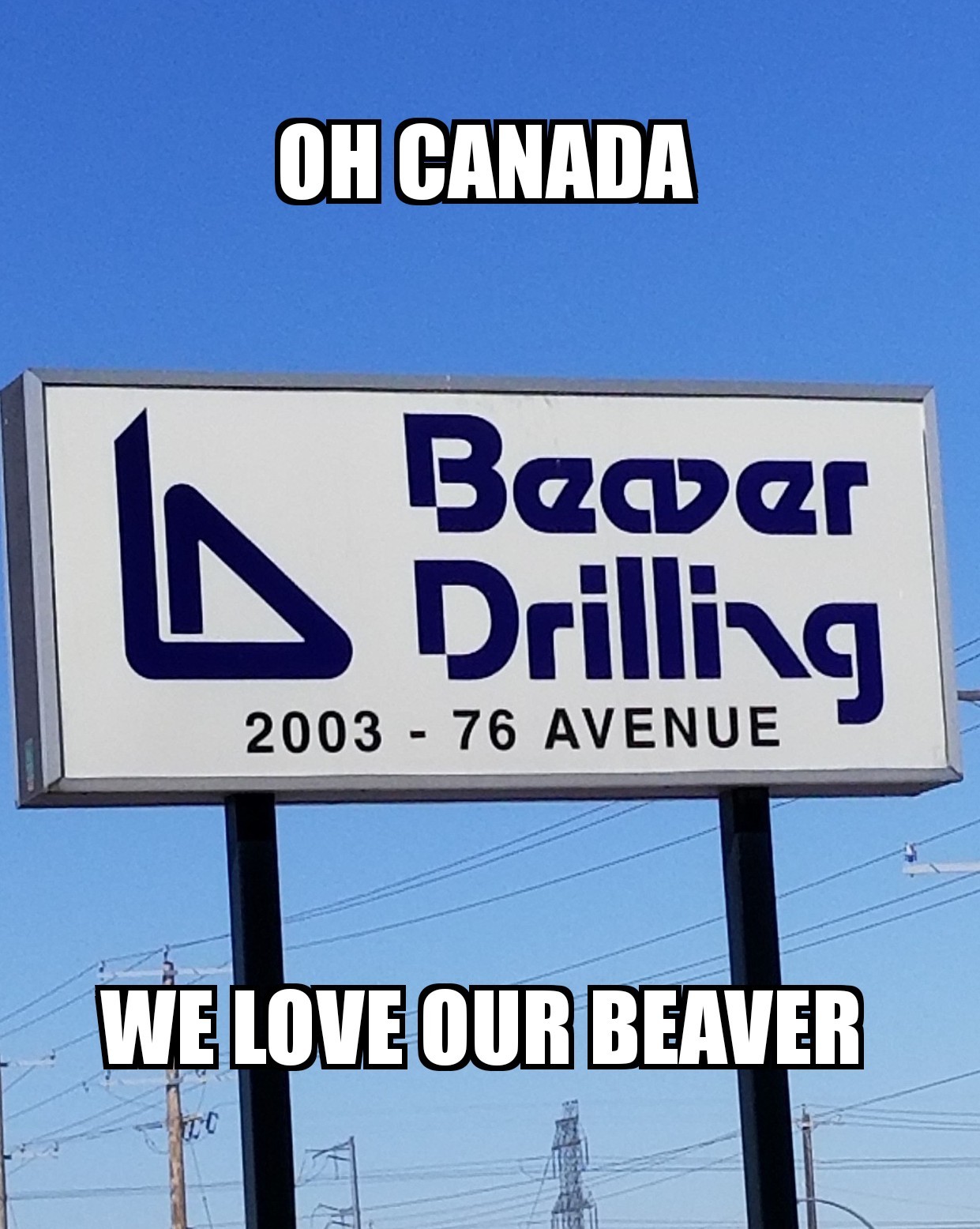 Drill that beaver... - meme