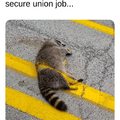 Union Job!