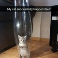 Cute cat trapped itself