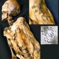 Tattoo made 2500 years ago