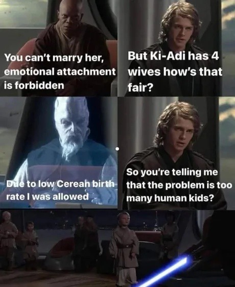 Jedi council explaining Ki-Adi's wives got plot armor - meme