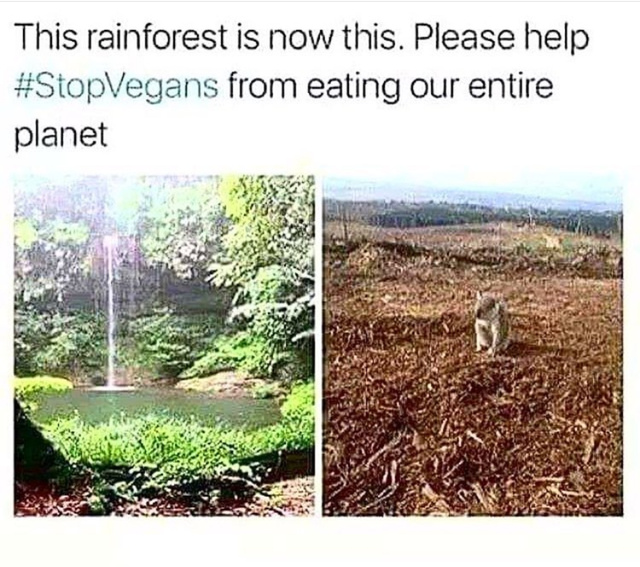 Stop vegans from eating our planet - meme