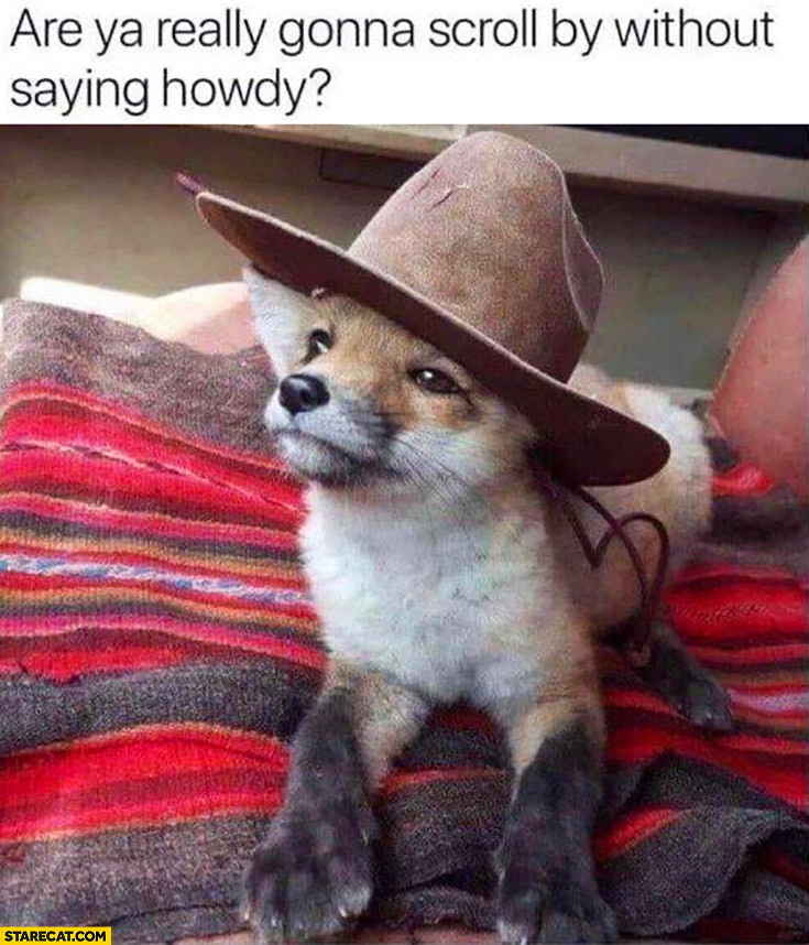 are you gonna say howdy - meme