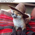 are you gonna say howdy
