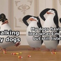 dogs standing at attention