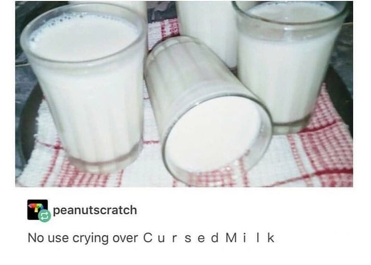 cursed milk - meme