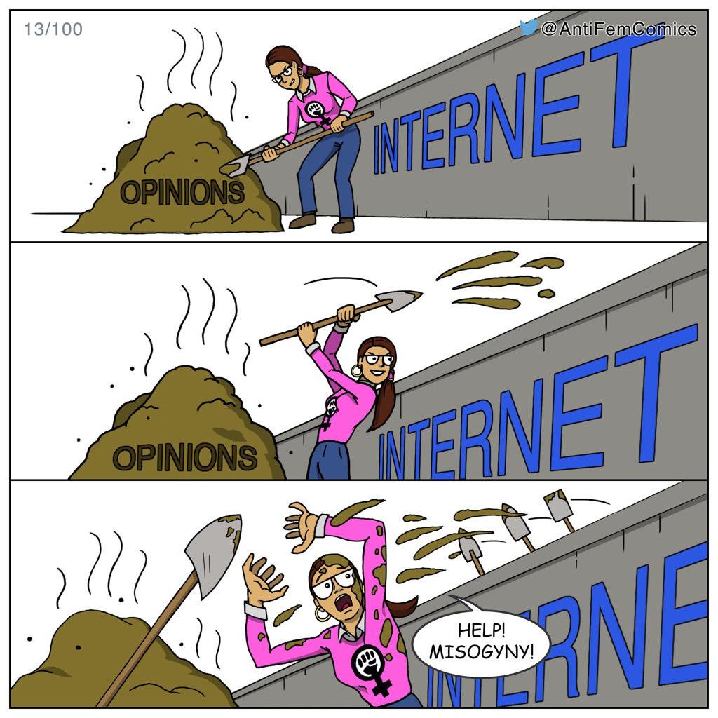 Feminists on the Internet - meme
