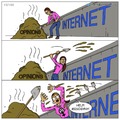 Feminists on the Internet