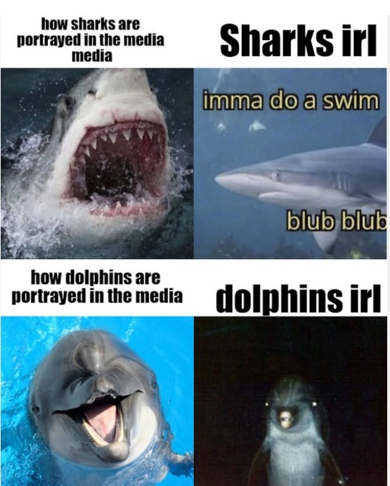 Why my father hates dolphins - meme