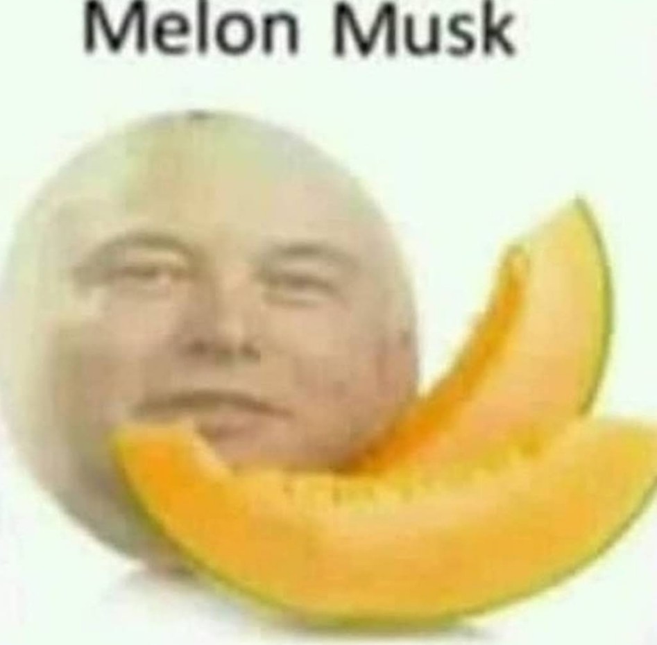 Melon Musk - meme