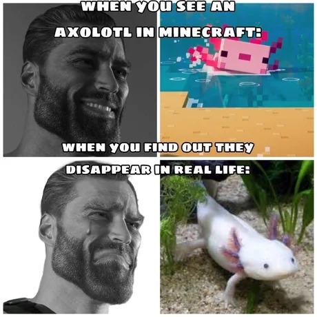 Minecraft Memes ⛏️ on X: Chad vibes  / X