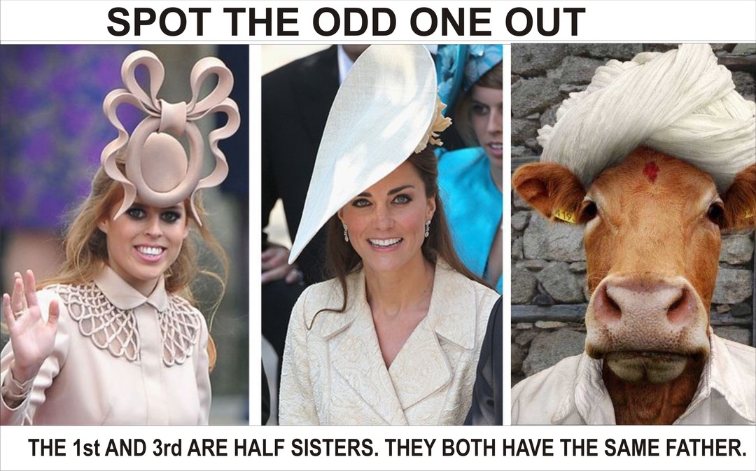 LADIES DAY AT THE RACES - meme