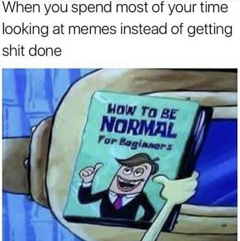 How to Be Normal - meme