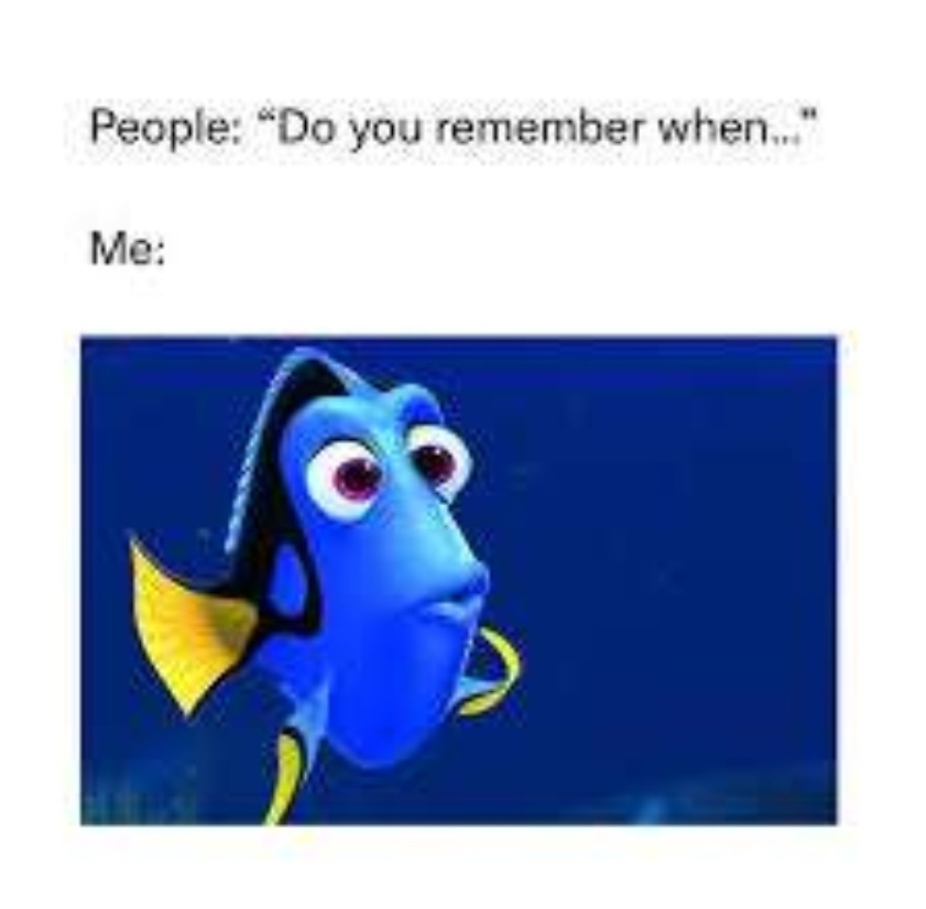 I got 9 kinds of memory loss, that I remember - meme