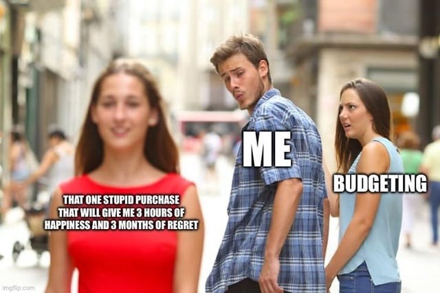 3 hours of joy, 3 months of pain… worth it - meme