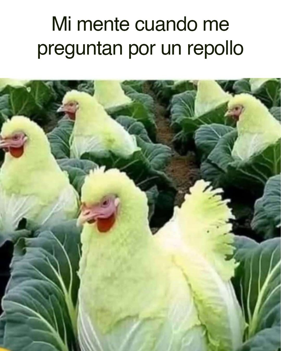 Igualito - meme