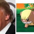 Nuevo pokémon Donald Trump xdxdxd