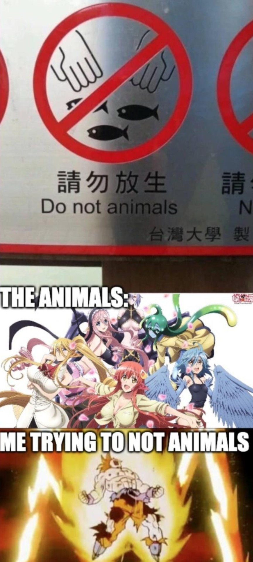 Do not animals - meme