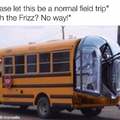 What ms frizzle was really up to