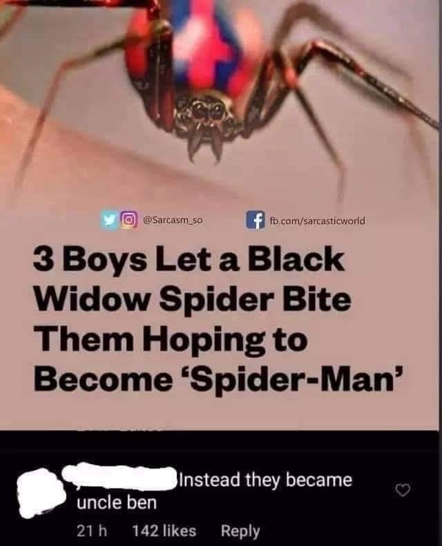 spider man - meme