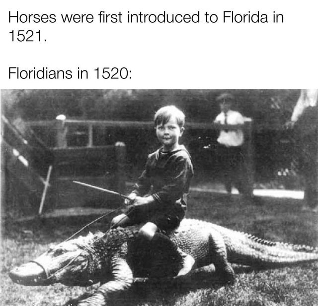 Floridans before horses were introduced - meme