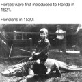 Floridans before horses were introduced