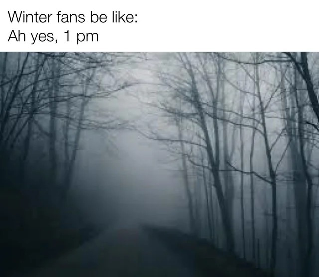 Winter fans be like - meme