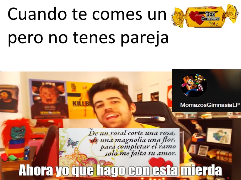 Pensaba subirlo el 14 de febrero pero me dio paja - meme